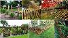 59 Unique Ideas For Wooden Fences In Front Yard Garden Designs