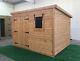 Garden shed 10 x 8 13mm cladding pent FREE INSTALLATION
