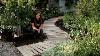Pallet Walkway Easy Diy Project Garden Answer