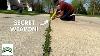 Weed Free Driveways And Sidewalks The Ultimate Solution