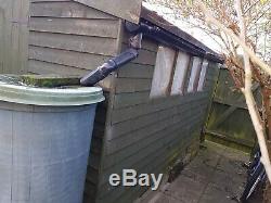 Wooden Garden Shed 10FT x 8FT Top quality. Buyer dismantles
